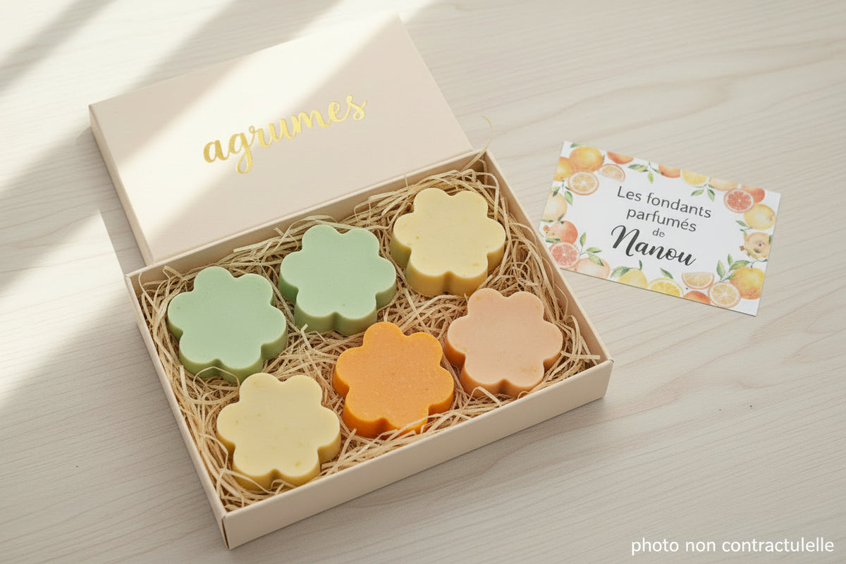 fondant parfumé Coffret agrumes - Les fondants parfumés de nanou