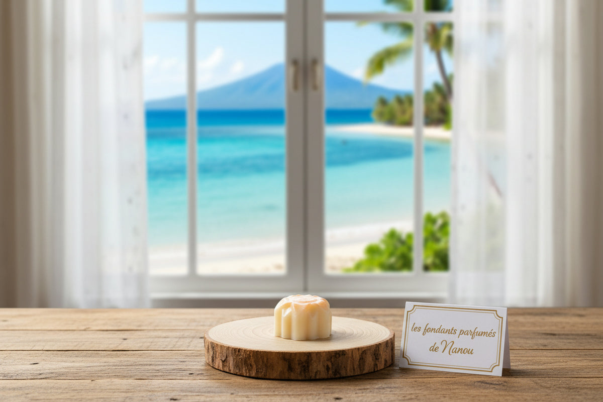 Fondant parfumé 20g vanille des îles - Les fondants parfumés de nanou