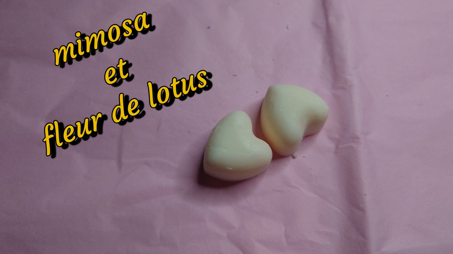 fondant parfumé mimosa fleur de lotus