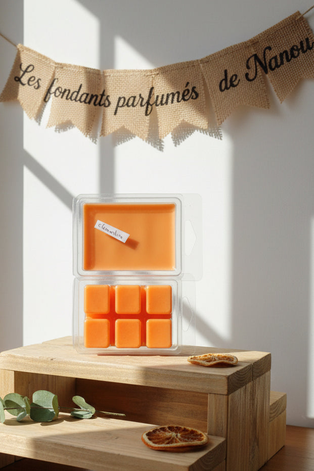 "Fondant parfumé clamshell (boîte) clémentine - Les fondants parfumés de nanou"