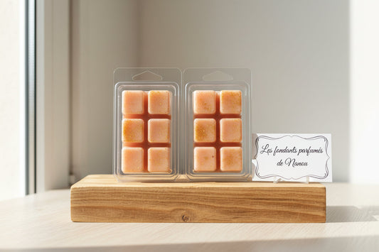 "Fondant parfumé clamshell (boite) cannelle douce - Les fondants parfumés de nanou"