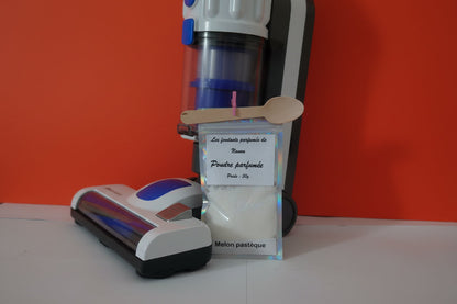"\"poudre parfumée pour aspirateur melon pasteque 50g\""