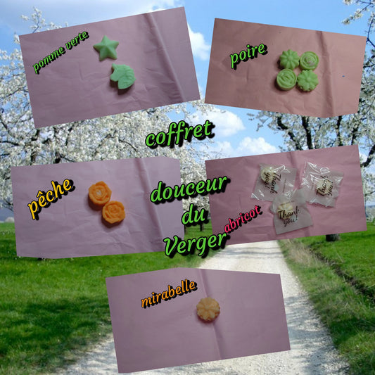 fondant parfumé Coffret douceur du verger - Les fondants parfumés de nanou
