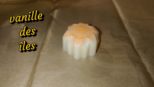 Fondant parfumé 20g vanille des îles - Les fondants parfumés de nanou