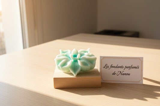 Fondant adoucissant orchidée 42g