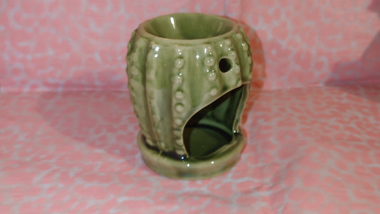 burleur cactus