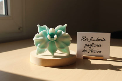 Fondant adoucissant orchidée 42g