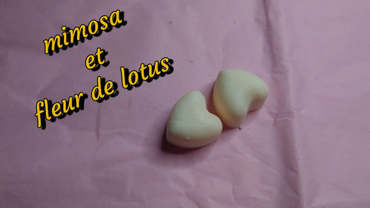 fondant parfumé mimosa fleur de lotus