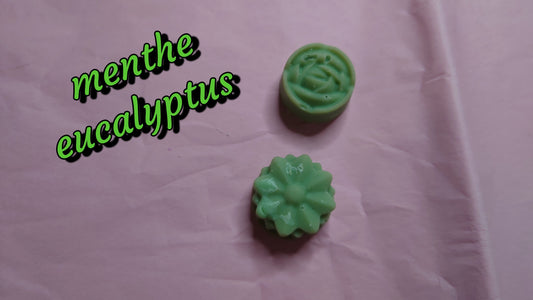fondant parfumé menthe eucalyptus